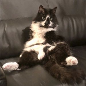 Meet your Posher, Jaylynn